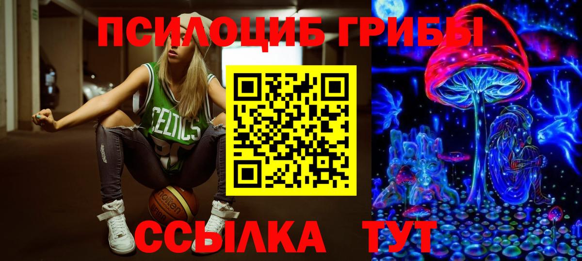 Псилоцибиновые грибы GOLDEN TEACHER  Вход с VPN  Псилоцибиновые грибы MAGIC MUSHROOMS  Мытищи 