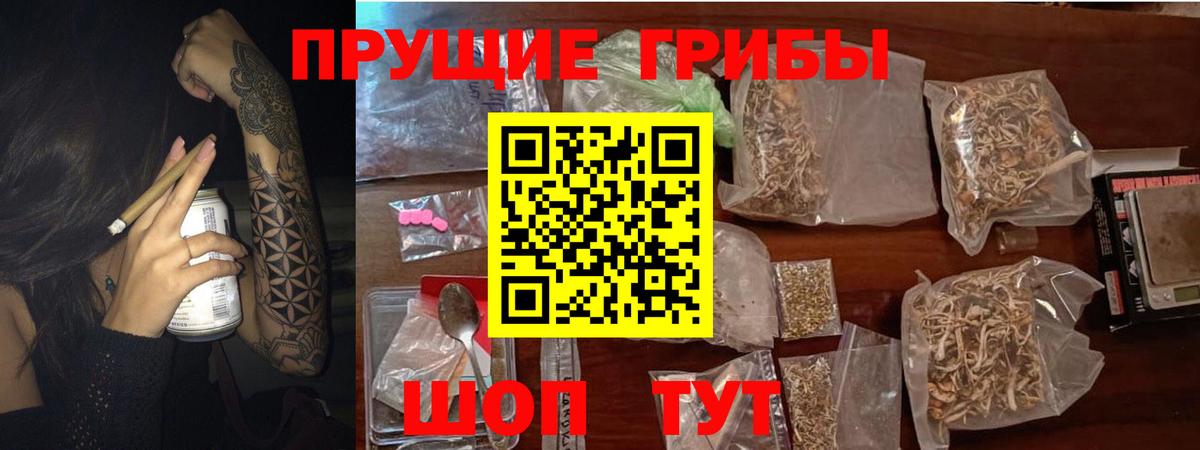 Псилоцибиновые грибы Cubensis Мытищи